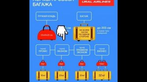 РУЧНАЯ КЛАДЬ И БАГАЖ