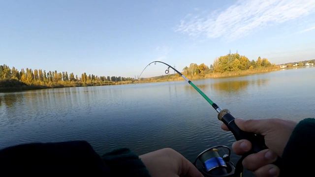 КАК ПОЙМАТЬ СУДАКА? ЛОВИ НА ВСЁ ЧТО ЕСТЬ! Рыбалка в октябре смотреть онлайн