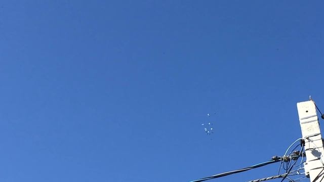 ч-1.Сколько летают голуби.