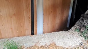 Купить Бассейн Каркасный морозоустойчивый. Бассейны для дачи Atlantic Pool