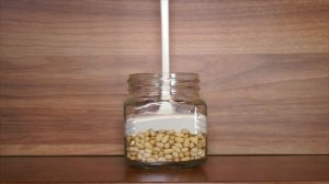 Взбитый мед с ядрами кедрового ореха