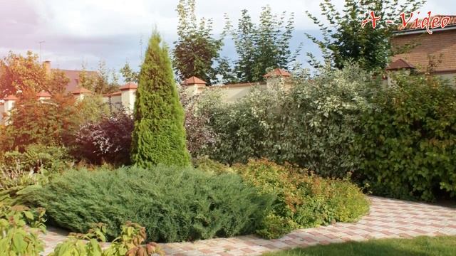 ?Прекрасные примеры как украсить садовый участок / Beautiful Garden Ideas / A - Video