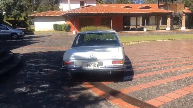 WhatsApp Video 2019 03 17 at 18 36 47 смотреть онлайн