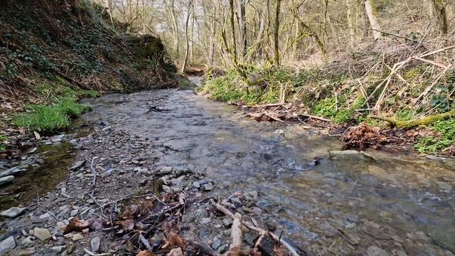 Журчание ручья для успокоения нервов :). Релаксация. Звуки природы чтобы расслабиться и уснуть. смотреть онлайн
