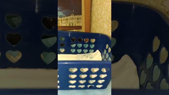 Укладываю Тёмочку спать, объявления и новые волосики! смотреть онлайн