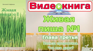 Евгений Агафонов Видео-книга "Живая Пища№1". Глава 3 Польза Проростков (Видео 54)