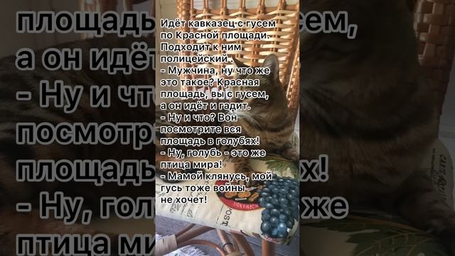 Кавказец с гусем на Красной площади ? анекдот от кожаного.