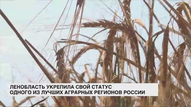 Ленобласть укрепила свой статус одного из лучших аграрных регионов России