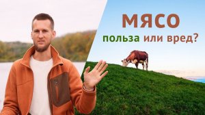 Как мясо влияет на нашу жизнь и энергию? Польза или вред?