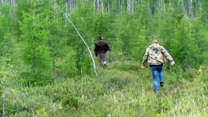 Погоня за оленем в районе озера Лабынкыр ?