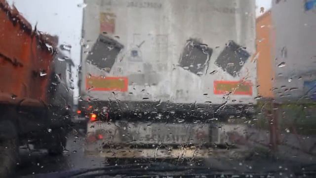 Где купить маток в Костроме. Поездка в Ярославль за пчелиными матками. Первые плодные матки.