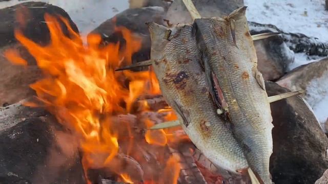 Рыба на рожне #хариус #костер #лес #леснаякухня #рыба #