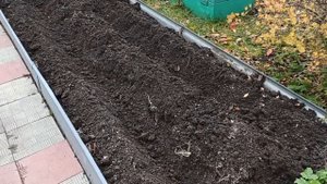 Бесплатное УДОБРЕНИЕ из опавших листьев.