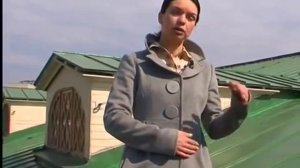 Слуховые окна на крыше