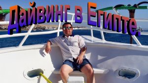 Дайвинг. Египет.