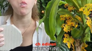 [ASMR] My Crunchy Love (edit) Неделя плиток / Week of tiles / day 4 /сh editor