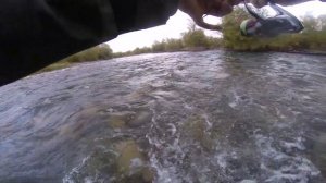 Ловля дикой форели на спиннинг !