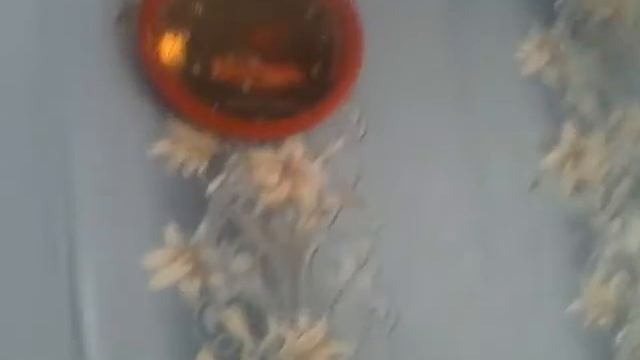 Лайхак и обзоры как проучить друга