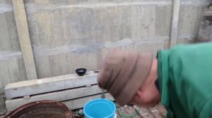 Как опрыскать (протравить) высокие деревья