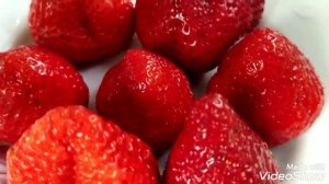 Клубника Гигантелла !  Клубника  интересные факты  fragaria ananassa gigantella !