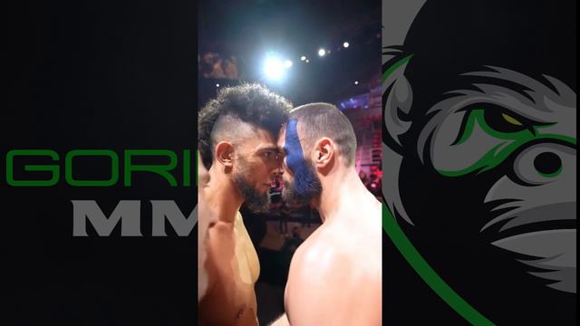 Paul Craig vs Johnny Walker: UFC 283 Face-off