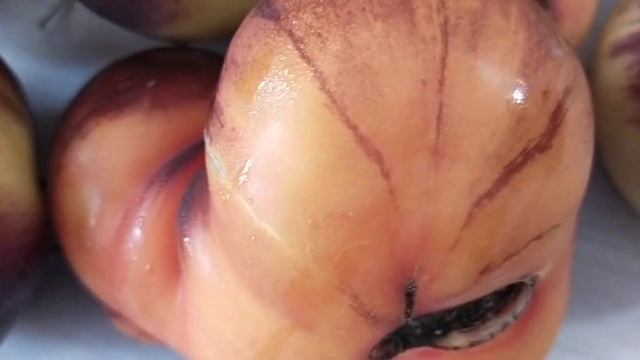 Яркий самоцвет - в Сибири ему понравилось! смотреть онлайн