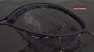 Щука на бигбейты. Ловля хищных рыб.