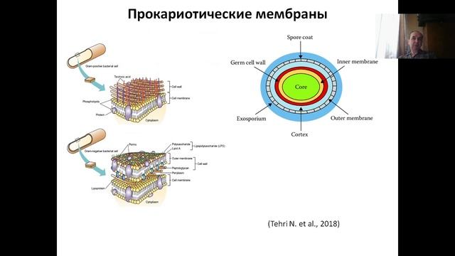 Лекция 1. (2023) Основы молекулярной и клеточной биологии, Вводная лекция