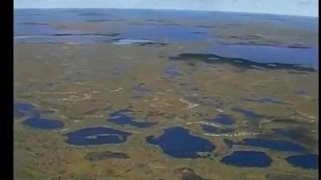 Программа Таежные тропы.mp4