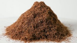 Кукурузные рыльца