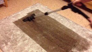 Сухая чистка ковра | Dry Carpet Clean