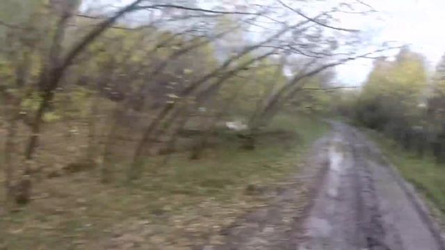 stels800 гепард, прохват по лесу в поисках грязи. смотреть онлайн