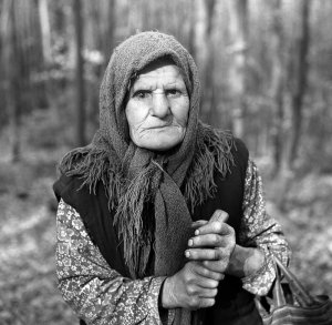 3. О присухах