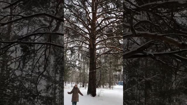 "Пороша" Сергей Александрович Есенин