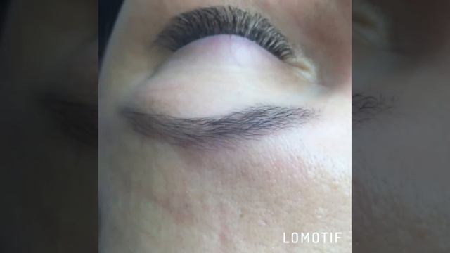 2д .Толщина 0.01.Изгиб D. смотреть онлайн