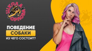 Как управлять поведением собаки