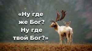 Как лань желает,♫Прославление Песня♫