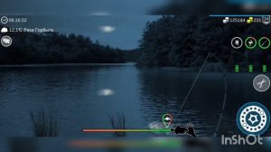 My Fishing World Карась обыкновенный ловим один за одним