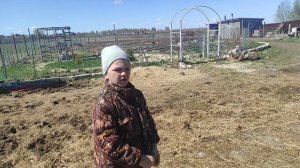 Катание на лошадях. город Арзамас. Продают лошадь