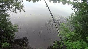 Волжанка. Обзор фидера волжанка. Бюджетный фидер СТОИТ ЛИ?