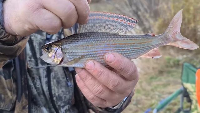 ?Рыбалка в тайге 2020 смотреть онлайн