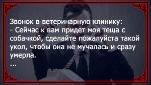 Как навсегда избавиться от тещи в своей жизни? Смешные анекдоты для отличного настроения.