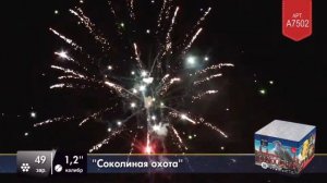Выбираем салют на свадьбу.mp4