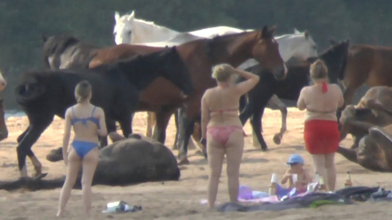 Кони тоже любят загорать смотреть онлайн