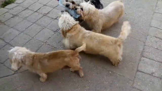 VID 20180805 174137 смотреть онлайн