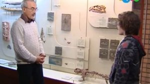 Жизнь замечательных зверей. Аджилити. Варан. Слон