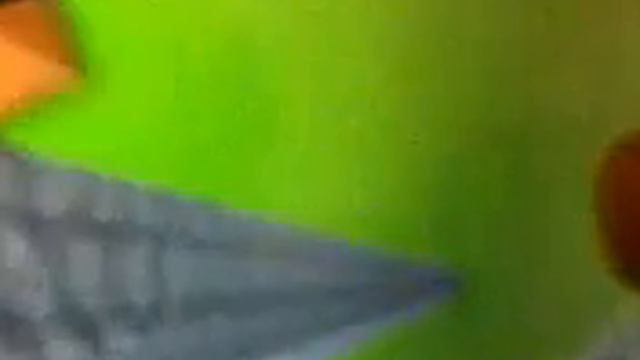 Как сделать ферму золота в майнкрафт pe смотреть онлайн