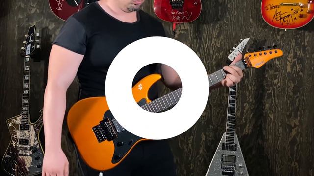 Schecter Sun Valley SS FR смотреть онлайн