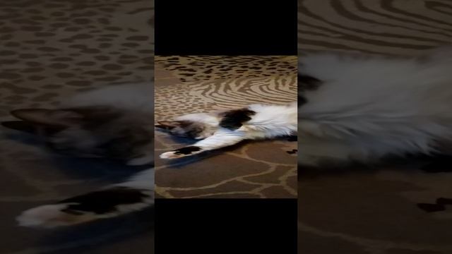 Красавица умывается