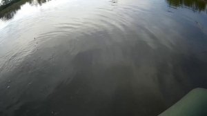 РЫБАЛКА НА ХИЩНИКА СО СПИННИНГОМ. ВОСПОМИНАНИЕ...